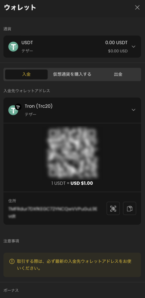 シーベット・テザー入金画面